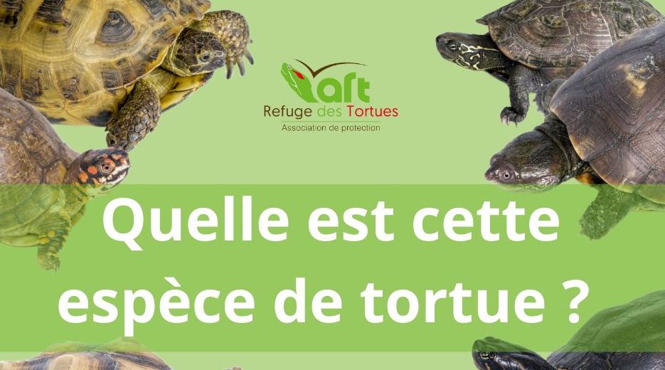 Image du refuge